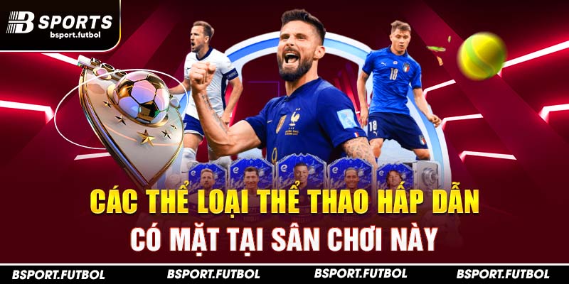 Các thể loại thể thao hấp dẫn có mặt tại sân chơi này