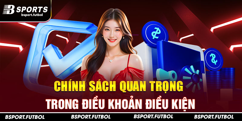 Chính sách quan trọng trong điều khoản điều kiện